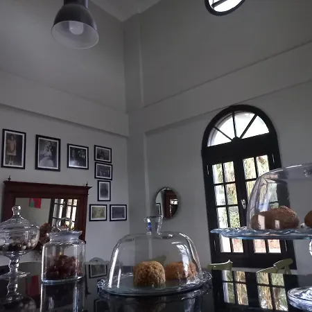 Zarbali Cunda Ayvalı