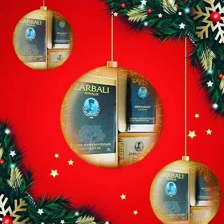 Ξενοδοχείο Zarbali Cunda Ayvalı