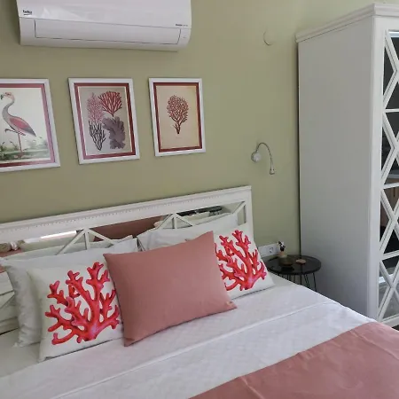 Zarbali Cunda * Ayvalı