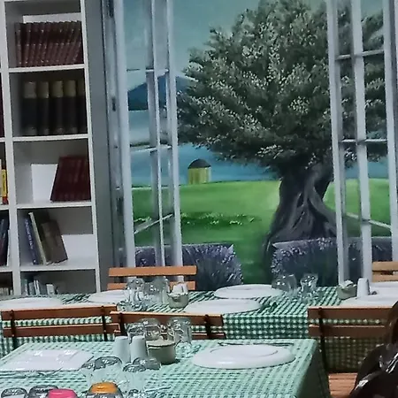 Zarbali Cunda *